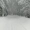 Altro che primavera: in Basilicata c’è la neve