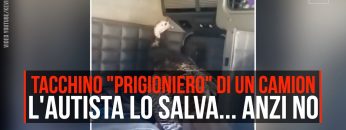 Privato: Pending – Youtube Automatic