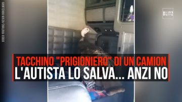 Privato: Pending – Youtube Automatic