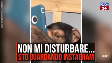 Privato: Pending – Youtube Automatic