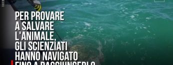 Privato: Pending – Youtube Automatic