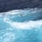 Baleari, due traghetti rischiano lo scontro: una donna finisce in mare