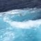 Baleari, due traghetti rischiano lo scontro: una donna finisce in mare