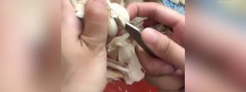 Privato: Pending – Youtube Automatic