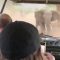 L’elefante va all’attacco: il safari è da paura
