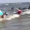Georgia, balene pilota si spiaggiano, salvate dai bagnanti