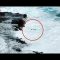 Hawaii, selfie vicino al mare in tempesta: marito e moglie travolti dalle onde