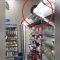 Topi equilibristi tra gli scaffali di un supermercato