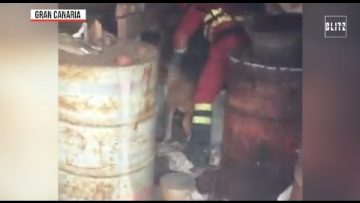 Privato: Pending – Youtube Automatic