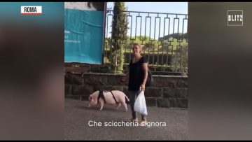 Privato: Pending – Youtube Automatic