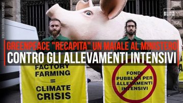 Privato: Pending – Youtube Automatic