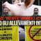 Privato: Pending – Youtube Automatic