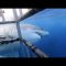 Messico, paura per i sub: squalo bianco attacca la gabbia di protezione