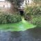Sarno, ecco il fiume più inquinato d’Europa