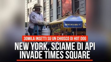 Privato: Pending – Youtube Automatic