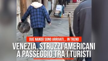 Privato: Pending – Youtube Automatic