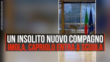 Privato: Pending – Youtube Automatic