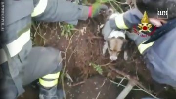 Privato: Pending – Youtube Automatic