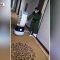 Coronavirus, hotel in quarantena: gli ospiti serviti da robot