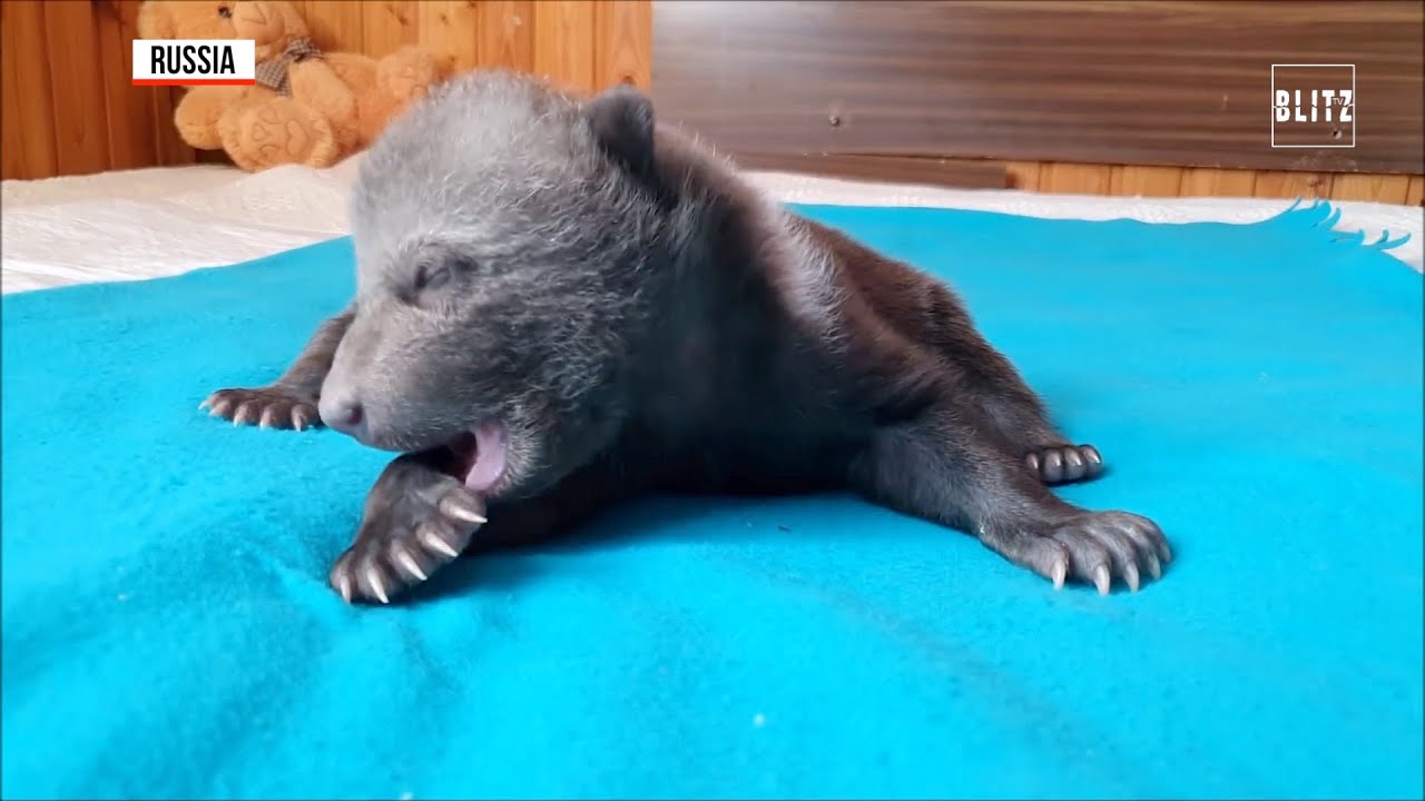 Preload Image