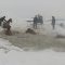 Russia, si rompe il ghiaccio: i cavalli cadono nel lago gelato