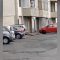 Follie da quarantena: cani al guinzaglio… dal balcone