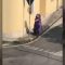 Mantova, per le strade si aggira un enorme T-Rex viola