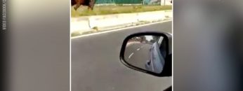 Privato: Pending – Youtube Automatic