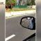 Milano, cavalli al galoppo su viale Forlanini