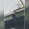 Usa, in bilico sul ponte con venti a 95 km/h: il salvataggio “ad alta quota”