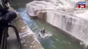 Privato: [ID: fayF6MIIEtQ] Youtube Automatic