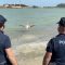 Cagliari, liberato il fenicottero soccorso in strada dalla polizia