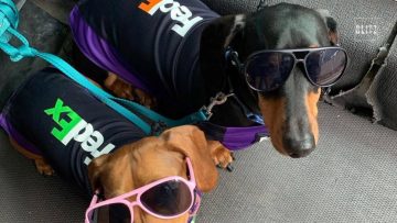 Privato: Pending – Youtube Automatic