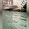 Bagno nel Canal Grande: Venezia torna “vittima” dei turisti