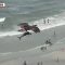 Usa, l’aquila cattura il delfino e sorvola la spiaggia