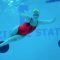 Allenamento in piscina per Bebe Vio: “Mi sento come la Sirenetta ma…”