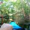 Usa, alligatore attacca un uomo in kayak: attimi di paura