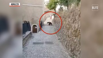 Privato: [ID: IuOxj5E4G8Q] Youtube Automatic