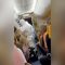 Coronavirus, caso sospetto su un volo Londra-Pisa: polizia a bordo con le tute protettive