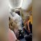Privato: [ID: PgNas892X0Y] Youtube Automatic