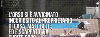 Privato: [ID: bMpeWdSlKOE] Youtube Automatic