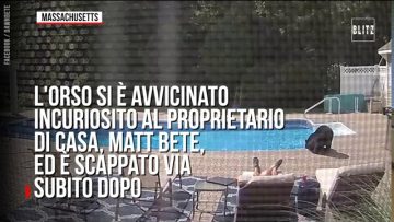 Privato: [ID: bMpeWdSlKOE] Youtube Automatic