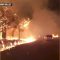 Vasto incendio in California: la zona vinicola devastata dalle fiamme del “Glass Fire”