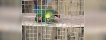Privato: [ID: xY-XwzzQg20] Youtube Automatic
