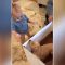 Usa, il regalo del piccolo Frem è un cucciolo: il video è già virale