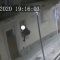 Milano, presi i ladri acrobati che svaligiarono la casa di Diletta Leotta e di altri vip