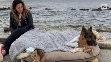 Privato: [ID: 0PaqK-wq3_I] Youtube Automatic