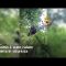 Genova, cade con il parapendio in un bosco: recuperato a 20 metri di altezza