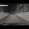 Inseguì branco di lupi in auto, condannato Luca Ghedina
