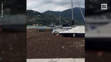 Privato: [ID: TQbyuf79A-w] Youtube Automatic